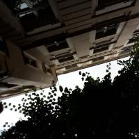 This Is For You (ohrenhoch, Berlin) by Tina Pearson | Photo: Knut Remond, ohrenhoch